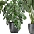 Tropical Plant Collection: Ficus, Banana, Monstera 3D model small image 6