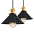Modern Industrial Hanging Lamp 3D model small image 1