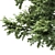 2 Acacia Trees: Polys - 281,792 & 589,772 3D model small image 2