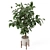 Wood & Concrete Indoor Plant Set 3D model small image 6