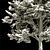  Majestic Landscape Tree 2014 3D model small image 3