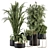 Elegant Greenery: Black & Gold Indoor Plant Set 3D model small image 1