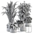 Elegant Greenery: Black & Gold Indoor Plant Set 3D model small image 5