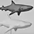 Oceanic Shark Sculpture 3D model small image 4