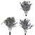 Eurasian Aspen Trio: Quaking Beauty 3D model small image 4