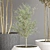 Green Oasis Indoor Plant Set 3D model small image 4