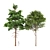 Whaite Gray Alder Tree: Premium 3D Model 3D model small image 1