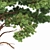 Whaite Gray Alder Tree: Premium 3D Model 3D model small image 2