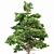 Whaite Gray Alder Tree: Premium 3D Model 3D model small image 4