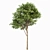 Whaite Gray Alder Tree: Premium 3D Model 3D model small image 5
