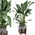 Rustic Concrete Pot Indoor Plants 3D model small image 1