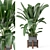 Rustic Concrete Pot Indoor Plants 3D model small image 2