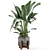 Rustic Concrete Pot Indoor Plants 3D model small image 6