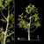 2014 Landscape Tree - 12m Height, Corona Render 3D model small image 1
