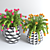 Colorful Flower Pot Collection 3D model small image 2