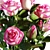 Elegant Pink Roses Bouquet 3D model small image 6