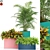 589 Plants Collection: Atelier Belge - Exquisite Greenery 3D model small image 1