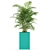 589 Plants Collection: Atelier Belge - Exquisite Greenery 3D model small image 3