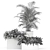 589 Plants Collection: Atelier Belge - Exquisite Greenery 3D model small image 6