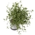  Rusty Concrete Pot Indoor Plants - Set 281 3D model small image 2