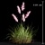 Premium Selloana Grass: Lifelike 3D Model 3D model small image 3