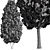 Italian Cypress Tree Set 3D model small image 3