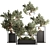 Indoor Bonsai Set: Natural Elegance 3D model small image 1