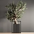 Indoor Bonsai Set: Natural Elegance 3D model small image 4