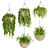 Indoor Hanging Plant Collection: Vol. 41 3D model small image 1