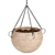 Indoor Hanging Plant Collection: Vol. 41 3D model small image 3