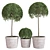 Lush Indoor Plant Set 3D model small image 1