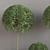 Lush Indoor Plant Set 3D model small image 4