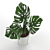 Exotic Monstera Plant: Add Tropical Vibes 3D model small image 3