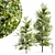 RealTree Buergerianum: High-Quality 3D Tree Model 3D model small image 1