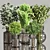 Indoor Plant Bouquet Collection 3D model small image 1