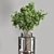 Indoor Plant Bouquet Collection 3D model small image 4