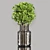 Indoor Plant Bouquet Collection 3D model small image 5