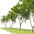 Northern Hackberry Tree - Vray and Corona Material Libraries - 13m Height 3D model small image 2