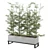 Ferm Living Bau Pot Large - Set 101: Indoor Greenery 3D model small image 3
