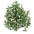 Blooming Bushes Variety Set 3D model small image 5