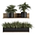 293 Indoor Plant Set 3D model small image 1