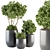 Lush Indoor Plant Set: Tree & Bush 3D model small image 1