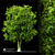 2014 Landscape Tree | 17m Height 3D model small image 2