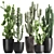 Exotic Cactus Collection: Column, Saguaro, Cereus 3D model small image 1