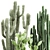 Exotic Cactus Collection: Column, Saguaro, Cereus 3D model small image 2