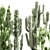 Exotic Cactus Collection: Column, Saguaro, Cereus 3D model small image 4