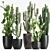 Exotic Cactus Collection: Column, Saguaro, Cereus 3D model small image 6