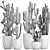 Exotic Cactus Collection: Column, Saguaro, Cereus 3D model small image 7