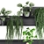 Vertical Garden Shelf Kit: Exotic Plants & Succulents 3D model small image 2