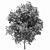 Shademaster Honey Locust: Impressive Height & Stunning Polys 3D model small image 3